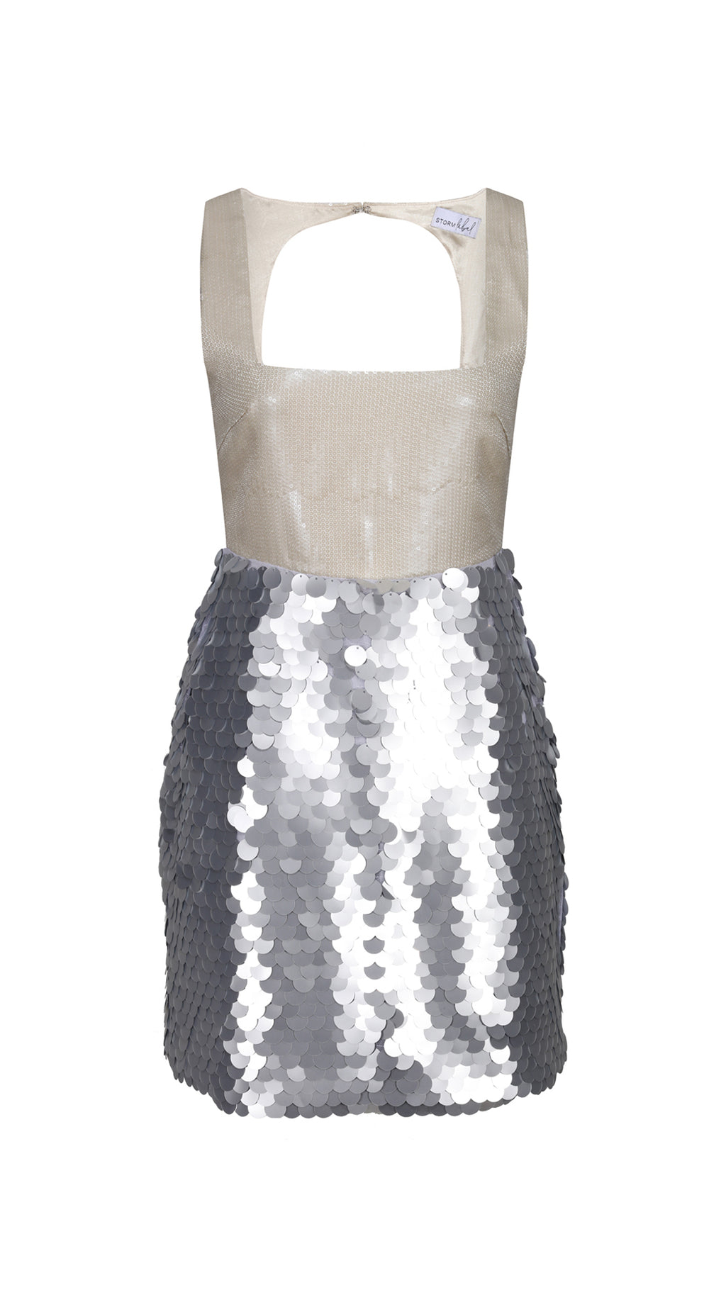 Silver and Champagne Sequin Dress