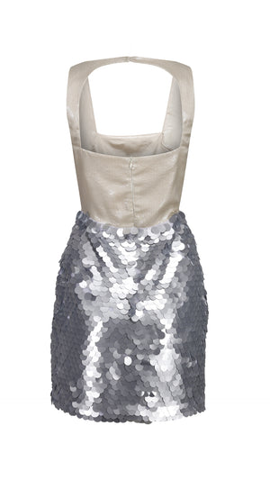 Silver and Champagne Sequin Dress